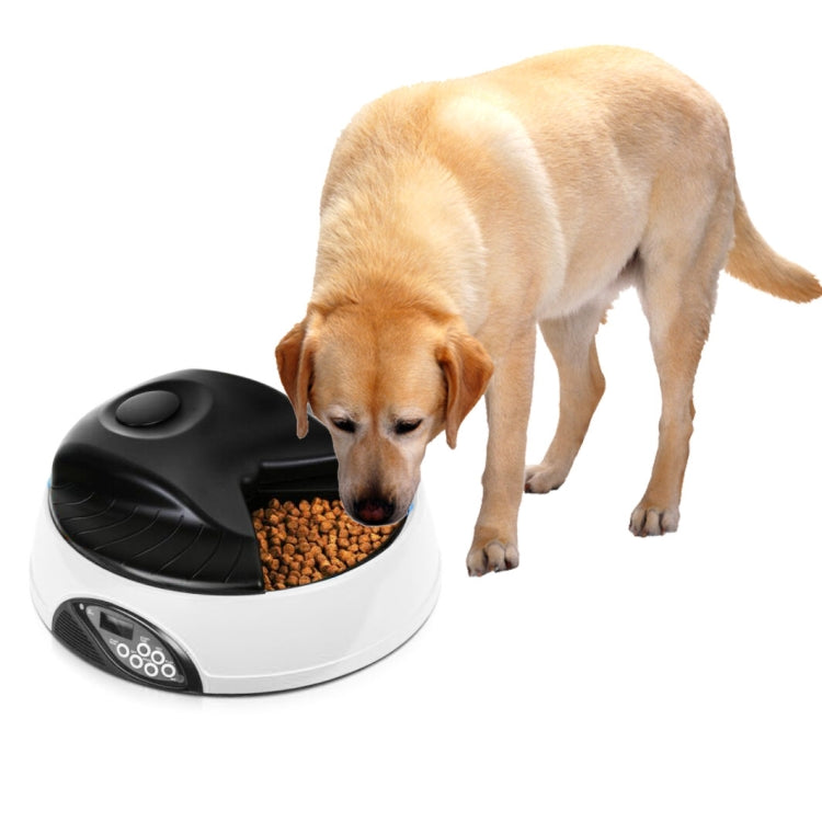 Pet Feed Wet Food Automatic Timing Feeder Cat can Soak in Water Dispenser