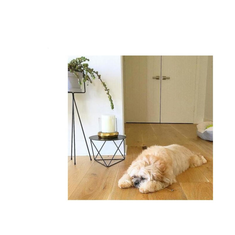 Minimalist Iron Small Living Room in North Europe Round Tea in the Living Room Modern Simplicity Coffee Tables