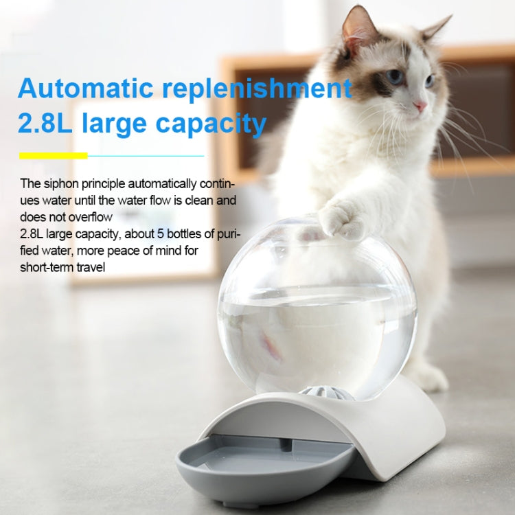 Bubble Ball Pet Automatic Watering Drinker Feeding Set(Pink)