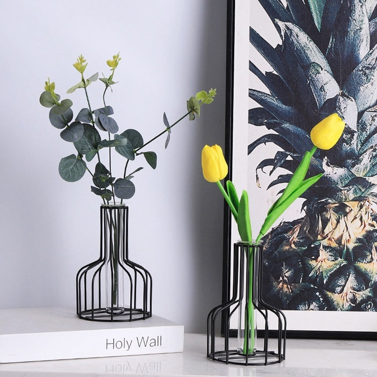 Wrought Iron Hydroponic Green Dried Flower Glass Flower Insert Decoration Without Fake Flowers