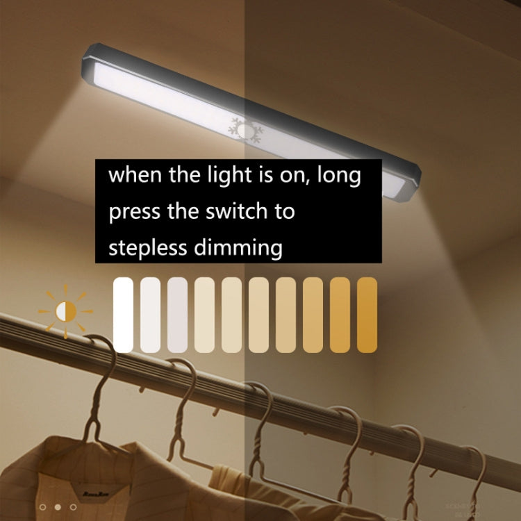 LED Intelligent Human Body Sensor Light USB Free Wiring Long Cabinet Wardrobe Light, Light color: Silver 2 x Lamp