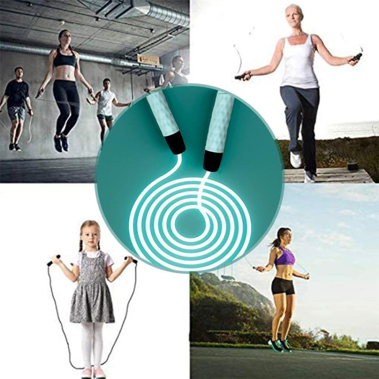 LED Transparent Optical Fiber Adjustable Jump Rope Male And Female Fitness Fluorescent Jump Rope