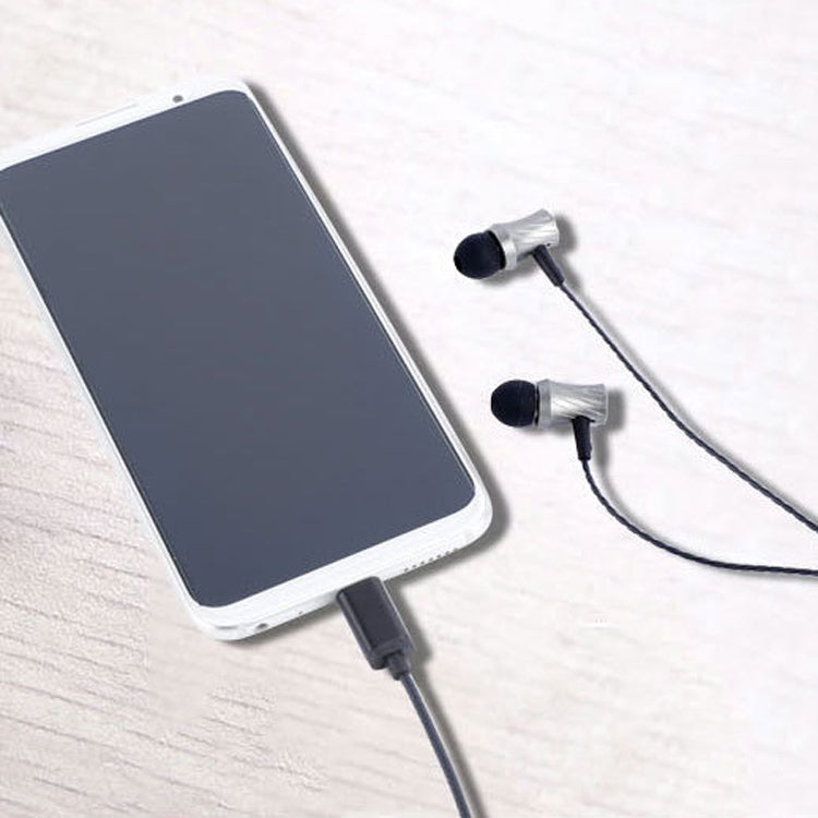 2 PCS TS1812 Type-C Plug In-Ear Digital Wired Earphone With Mic(Black)