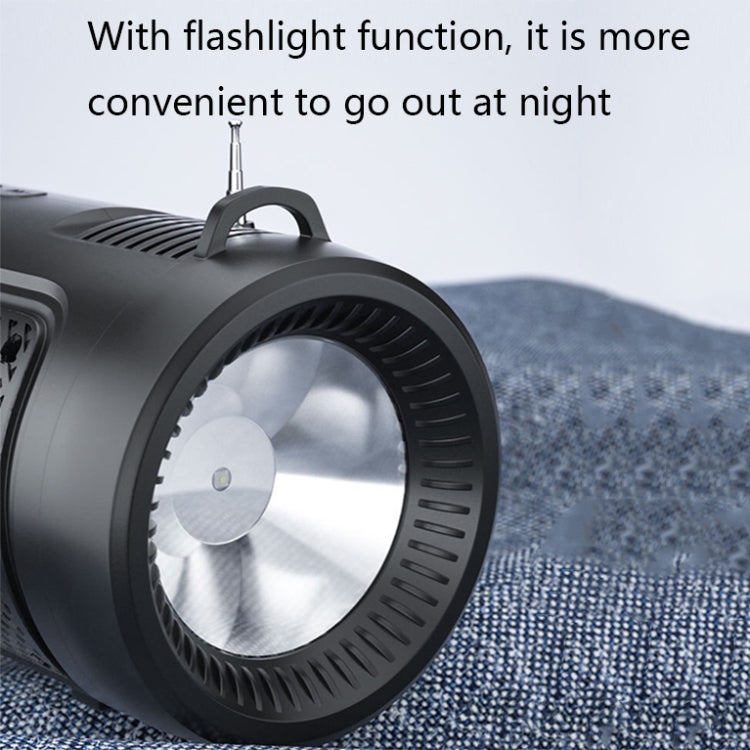 ZQ101 Outdoor FM Radio Bluetooth Speaker with Flashlight Function(Dazzling Black)