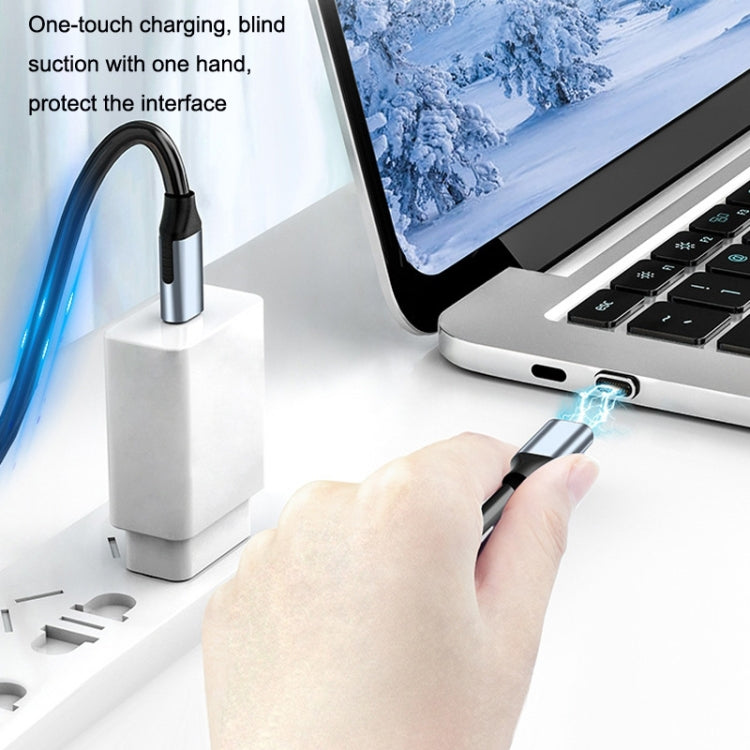 CC25 24Pin Dual Type-C / USB-C Fast Charging Magnetic Data Cable, Style: Magnetic Head