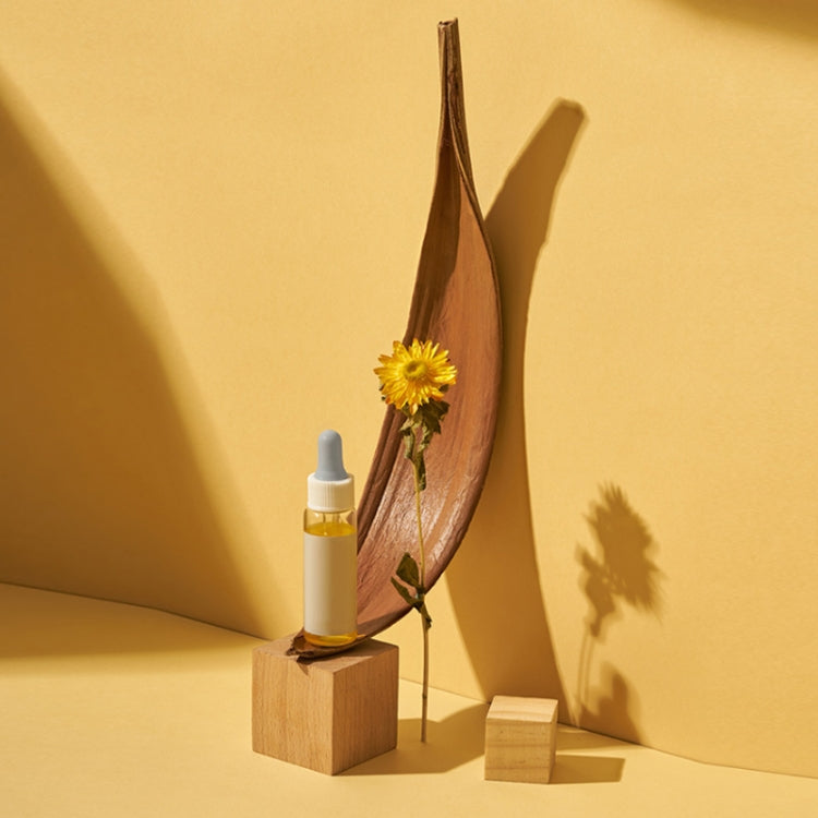 20-32 cm Cocoa Leaves Natural Plant Shooting Props Dry Flower Ornaments