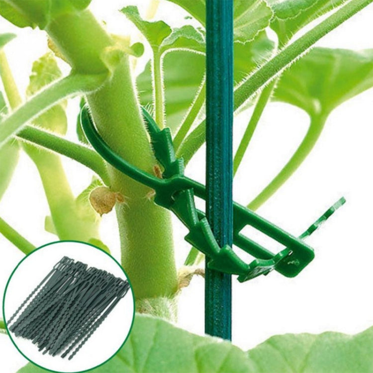 2pairs Multi-Purpose Garden Plants Fishbone Cable Ties, Length: 23cm/50pcs