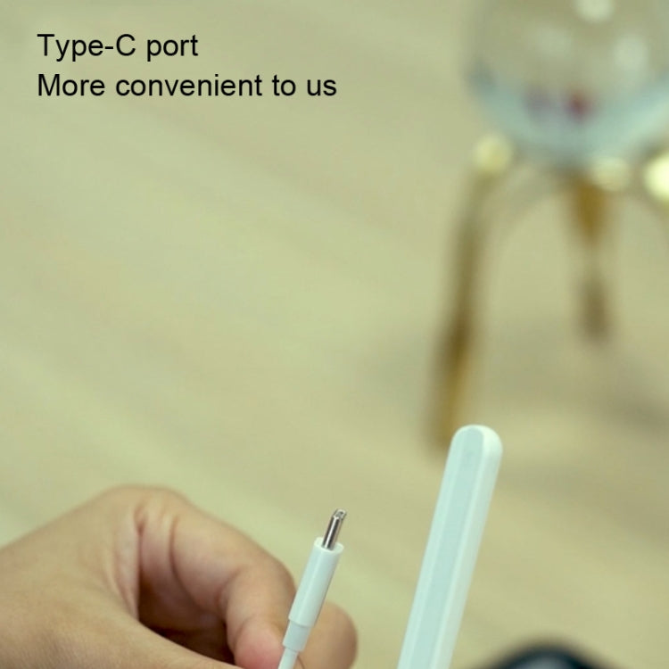 For Apple Pencil 2 RX-01 Capacitive Pen Magnetic Charging Cable
