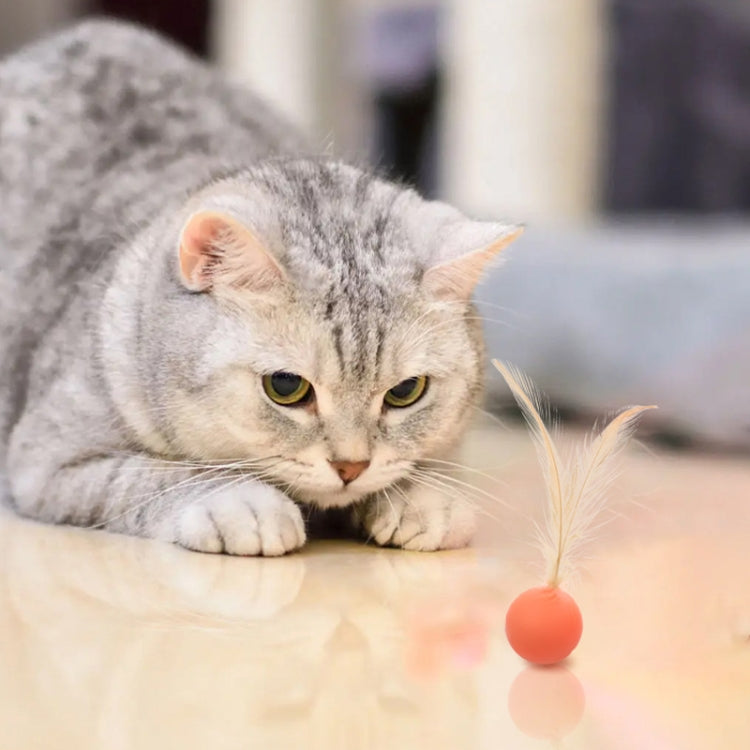 5pcs Elastic Ball Feather Cat Teaser Stick High Elastic Cat Toy