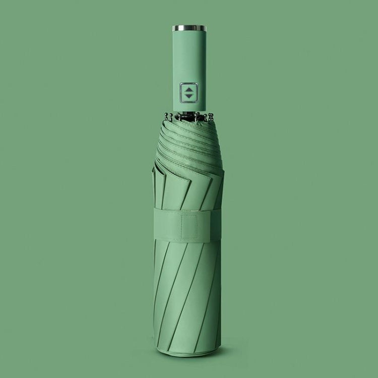 Fully Automatic Vinyl Right Umbrella