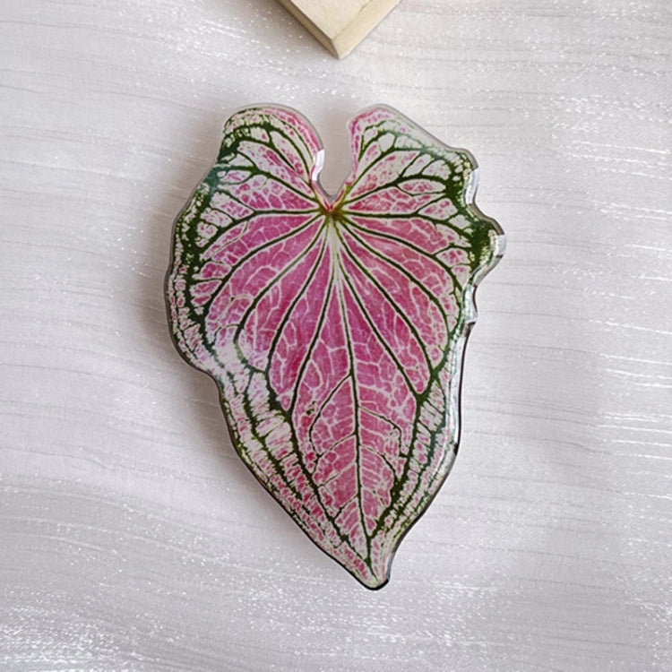 5pcs Alien Acali Simulation Leaf Airbag Support Desktop Can Retractable Back Paste Dripping Phone Bracket