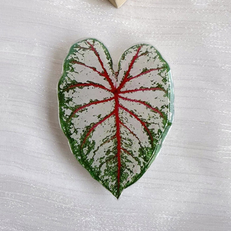 5pcs Alien Acali Simulation Leaf Airbag Support Desktop Can Retractable Back Paste Dripping Phone Bracket