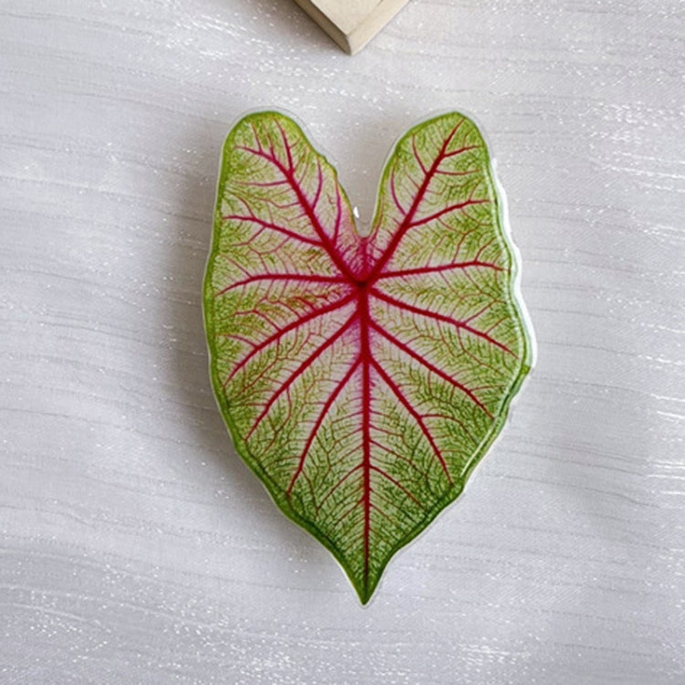 5pcs Alien Acali Simulation Leaf Airbag Support Desktop Can Retractable Back Paste Dripping Phone Bracket