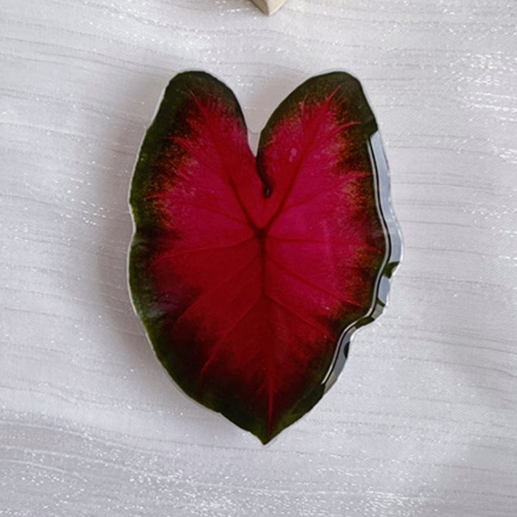 5pcs Alien Acali Simulation Leaf Airbag Support Desktop Can Retractable Back Paste Dripping Phone Bracket