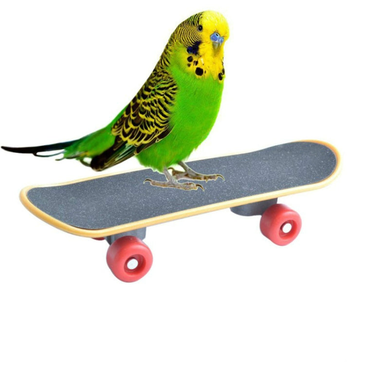 Pet Bird Toys Parrot Intelligence Mini Skateboard Toy Stand Perch Bird Training Toy