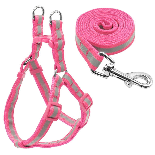 Small Medium Dogs Nylon Reflective Dog Leash Lead Set, Size:S