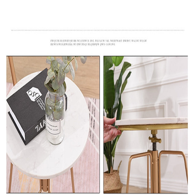 Modern Cafe Chair Nordic Restaurant Leisure Backrest Living Room Bedroom Conference Designer Minimalist Swing Coffee Chair(Gold Desk)