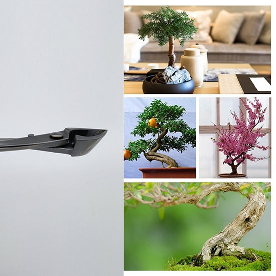 180 mm round edge cutter standard quality level Bonsai modeling tool stainless steel diagonal pliers / scissors fork branch side garden shears