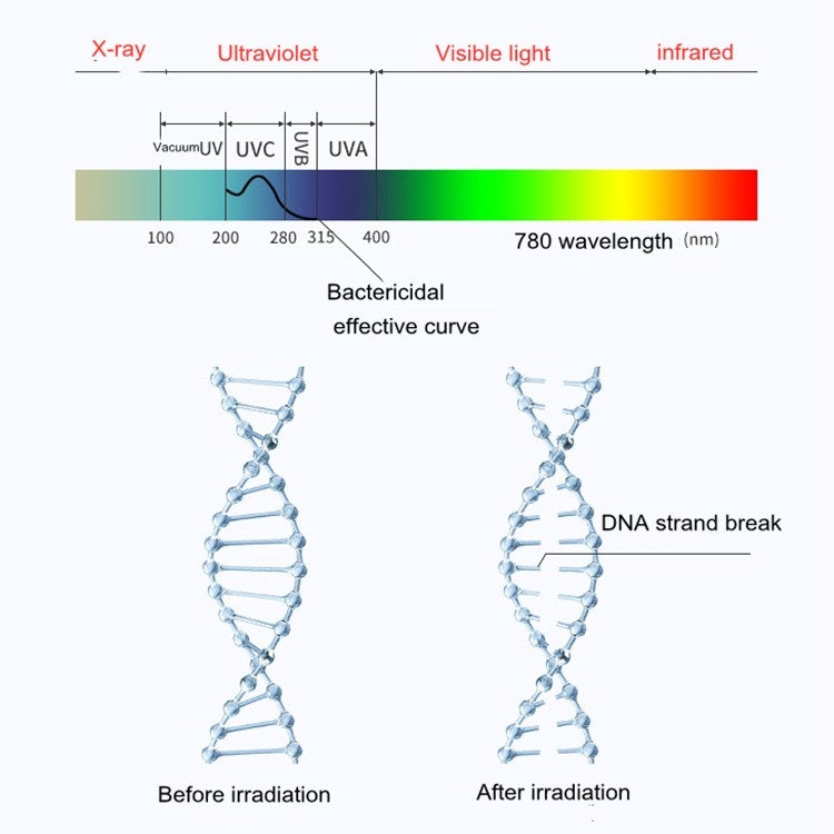 RR-X01 Ultraviolet Disinfection Lamp Portable Mini Household Mite Removal Sterilization Lamp