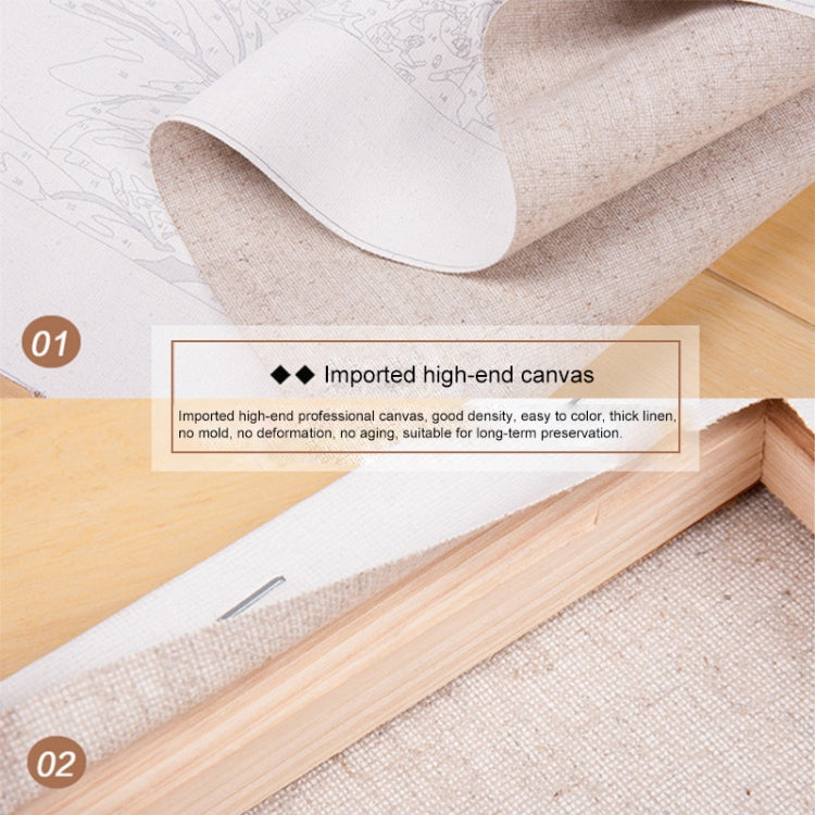 Butterfly Fairy Pattern DIY Digital Oil Acrylic Painting Kit