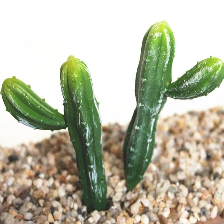 2 PCS Artificial Mini Cactus Garden Landscape Home Office Decoration, Style:Two Fairy Columns