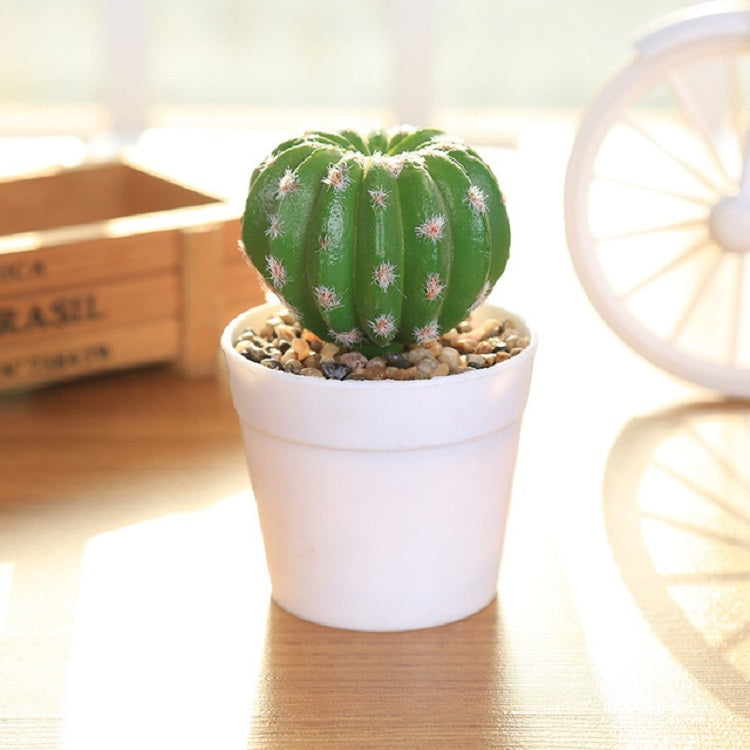 Simulation Cactus Prickly Pear Landscape Garden Gome Office Decoration, Style:Medium Fairy Ball