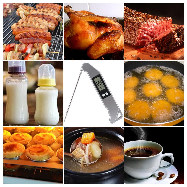 TS-BN61 Kitchen Food Cooking BBQ Foldable Waterproof Probe Thermometer(Silver)