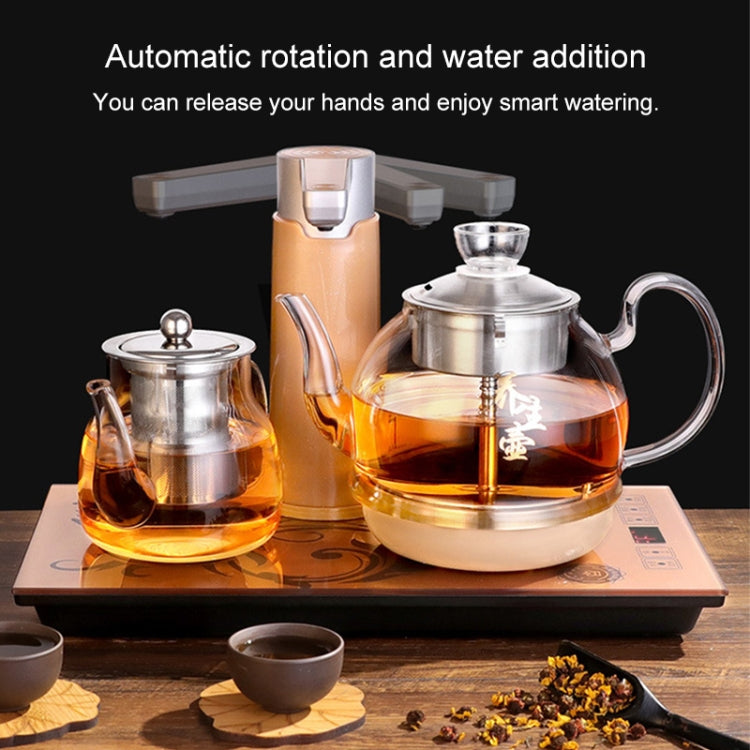 Automatic Steam Boiled Tea Black Tea Special Household Glass Spray Electric Tea Stove