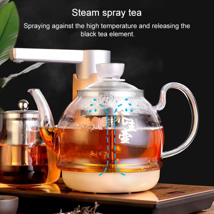 Automatic Steam Boiled Tea Black Tea Special Household Glass Spray Electric Tea Stove