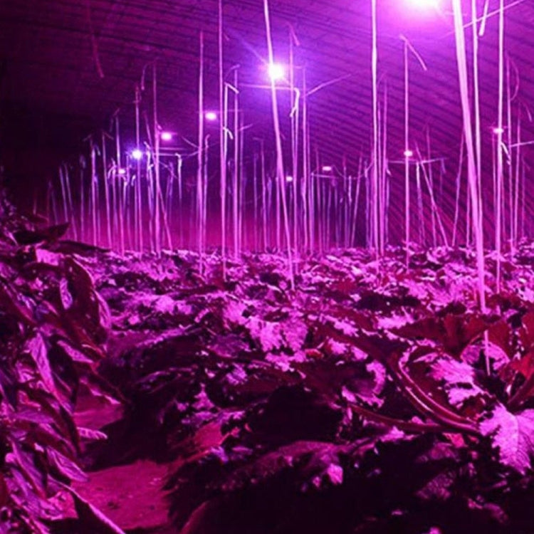 YWXLight 4W E27/E26 54 LEDs 2835 SMD LED Vegetative Grow Light