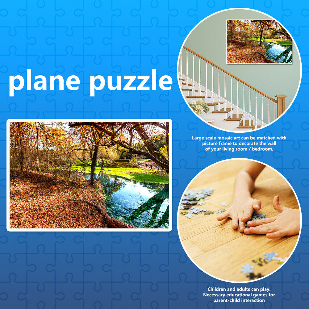 1000 Pieces DIY Paper Jigsaw Puzzle Narrow Creeks Landscape Picture Decor @