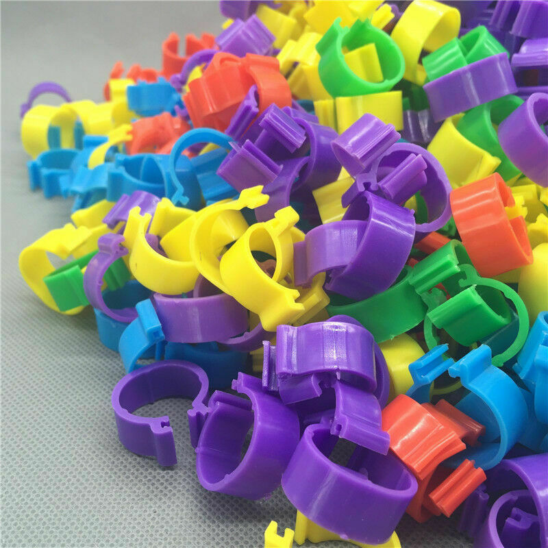 100 x COLOURED 8MM PLASTIC PIGEON LEG CLIP CLICK RINGS BANDS BREEDER STOCK LOFT