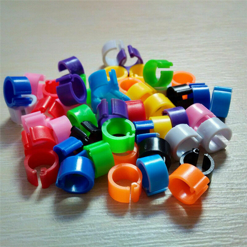 100 x COLOURED 8MM PLASTIC PIGEON LEG CLIP CLICK RINGS BANDS BREEDER STOCK LOFT