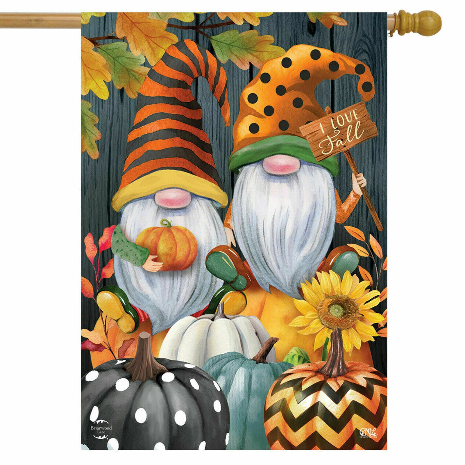 #169 CUTE AUTUMN FALL GNOMES PUMPKINS LARGE HOUSE FLAG 28X40 BANNER