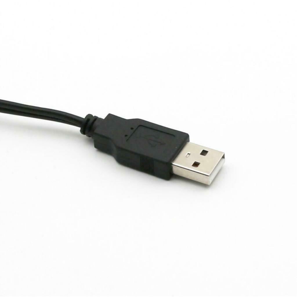 USB A Male Plug To 2 RCA Female Cable Adapter TV Television Connector Cable