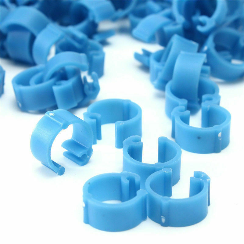 100 x COLOURED 8MM PLASTIC PIGEON LEG CLIP CLICK RINGS BANDS BREEDER STOCK LOFT