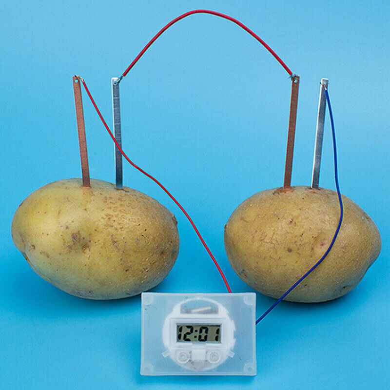Children bio energy science kit fun potato supply electricity experiments jJ Tt