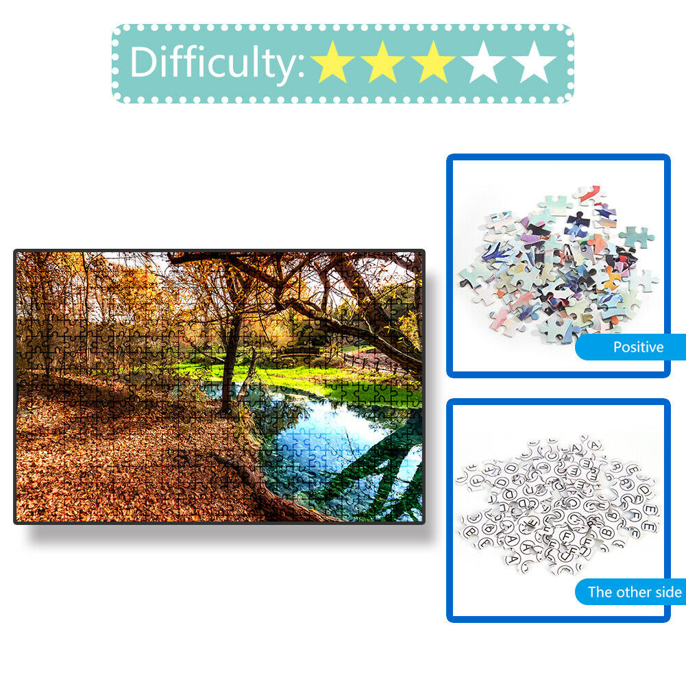 1000 Pieces DIY Paper Jigsaw Puzzle Narrow Creeks Landscape Picture Decor @