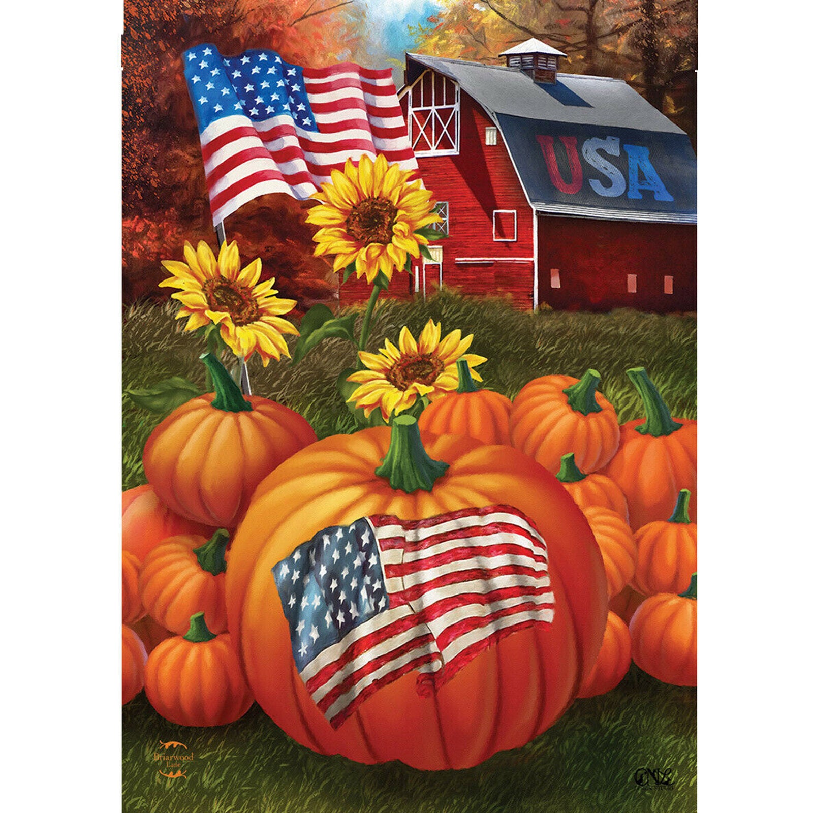 #66 PATRIOTIC AUTUMN FALL PUMPKINS SUNFLOWERS LARGE HOUSE FLAG 28X40 BANNER