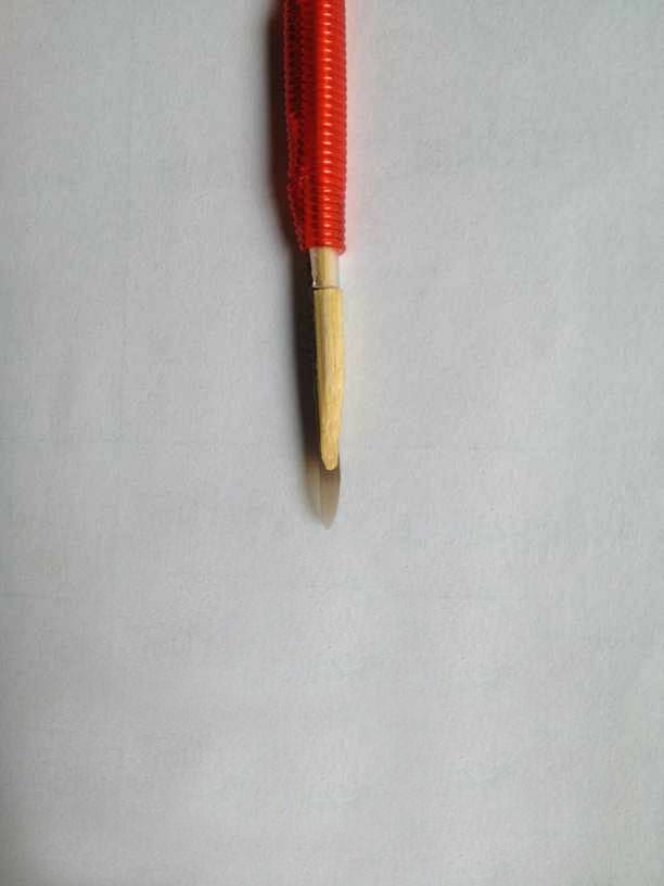 10pcs Beekeeping Beekeepers Chinese Rearing Grafting Tool Retractable Needle Red