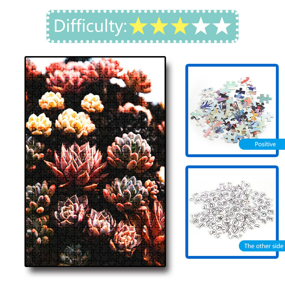 1000 Pieces Adults Kids Paper Jigsaw Puzzles Fleshiness Assembling Picture  @