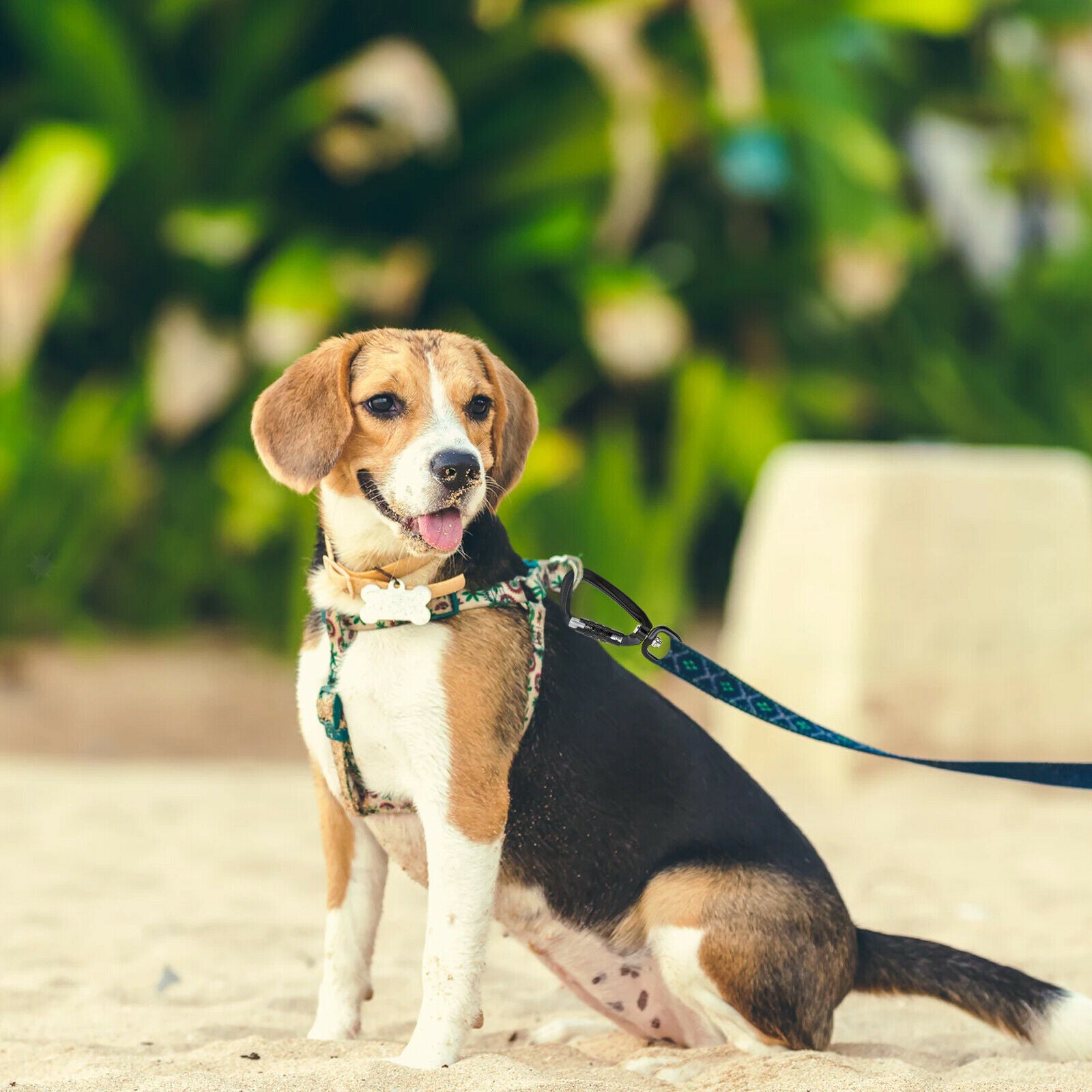 2x Auto Locking Carabiner 3.46in Camping Hiking Keychain Hook Carabiner