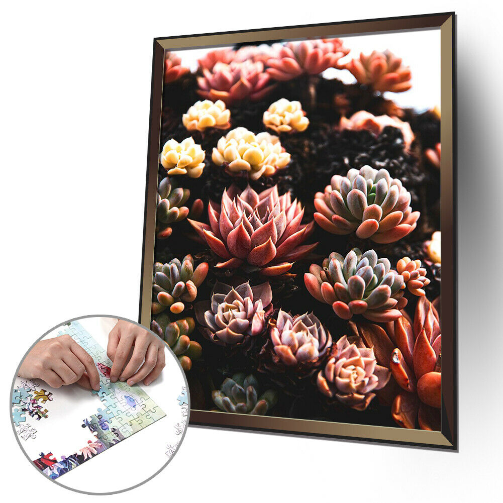 1000 Pieces Adults Kids Paper Jigsaw Puzzles Fleshiness Assembling Picture  @