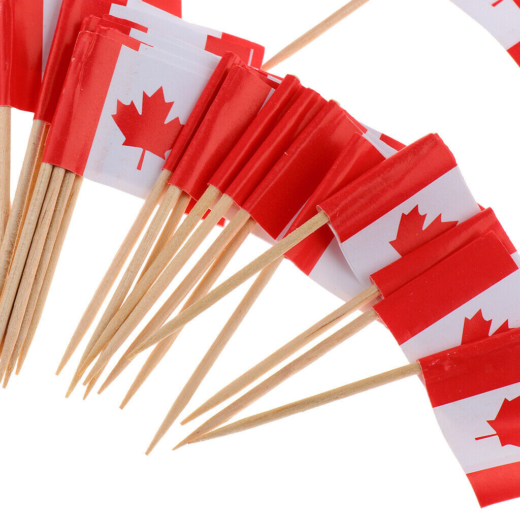 100 x Wedding Creative Flag Toothpicks Cocktail Decor Bar Sports- Canada