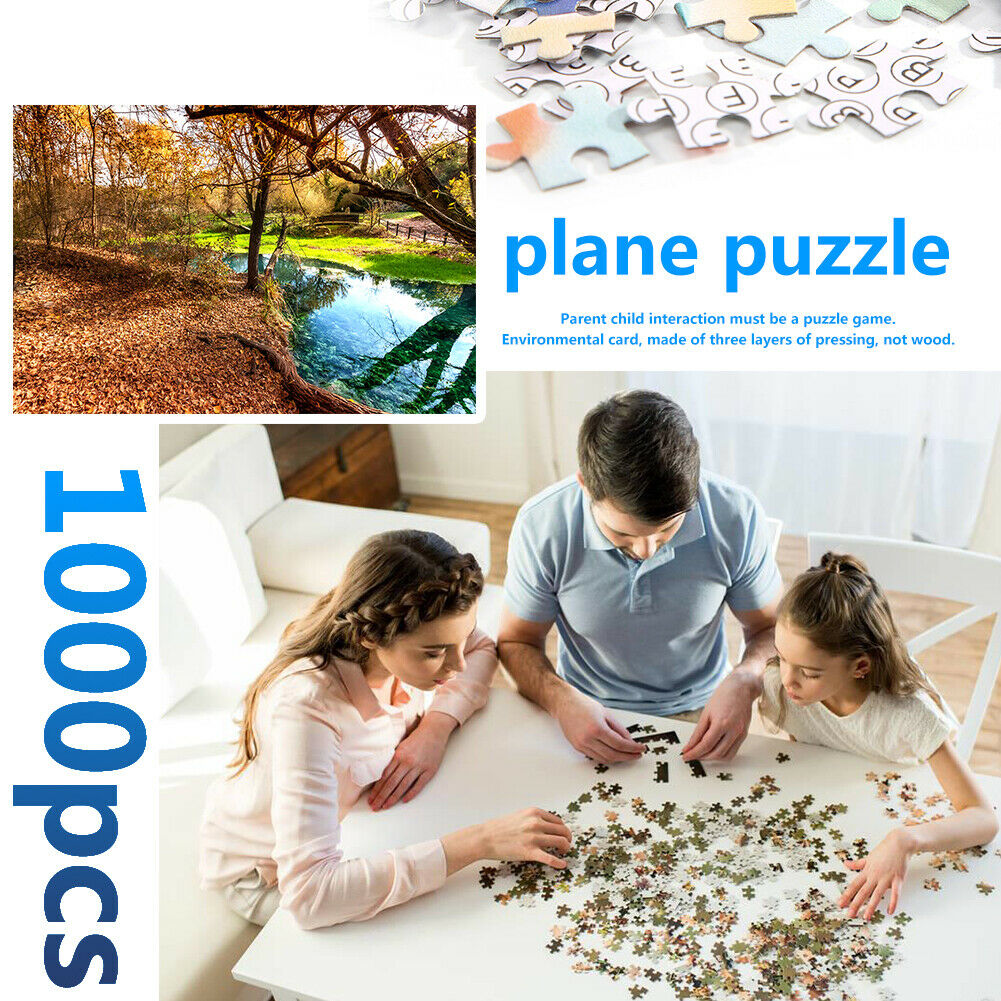 1000 Pieces DIY Paper Jigsaw Puzzle Narrow Creeks Landscape Picture Decor @