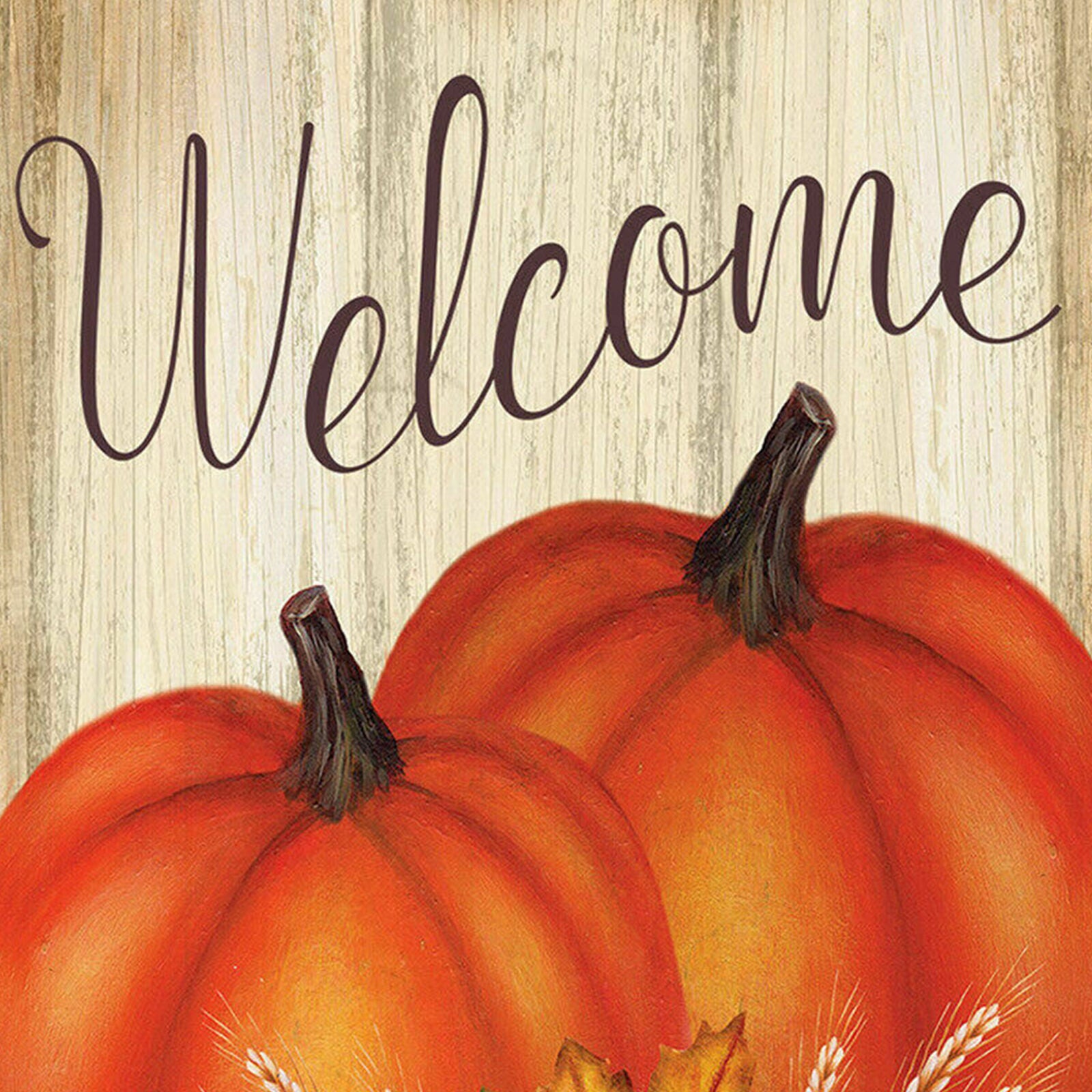 #81A AUTUMN FALL PUMPKIN PAIR SUNFLOWERS LARGE HOUSE FLAG 28X40 BANNER