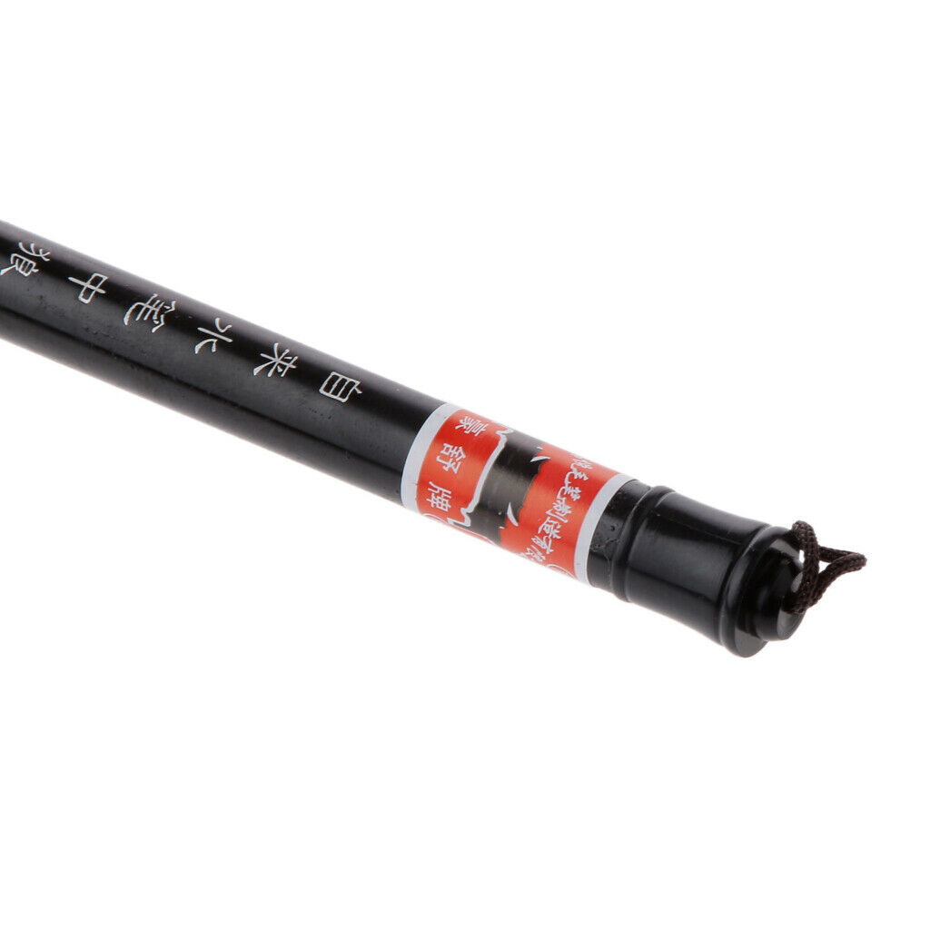 Chinese&Japanese Calligraphy Water Brush Pen Art Painting Tool-M