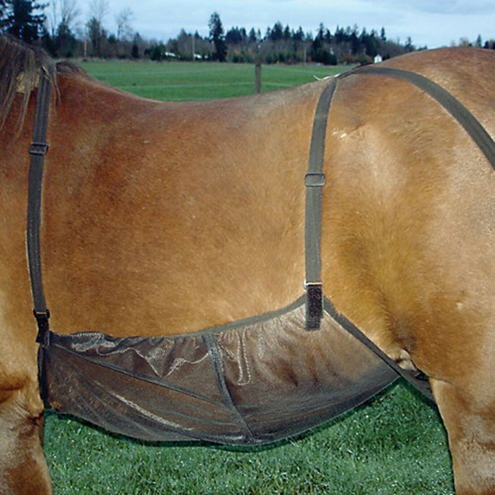 Horse Fly Sheet Breathable Belly Guard Cover Adjustable Abdomen Blanket