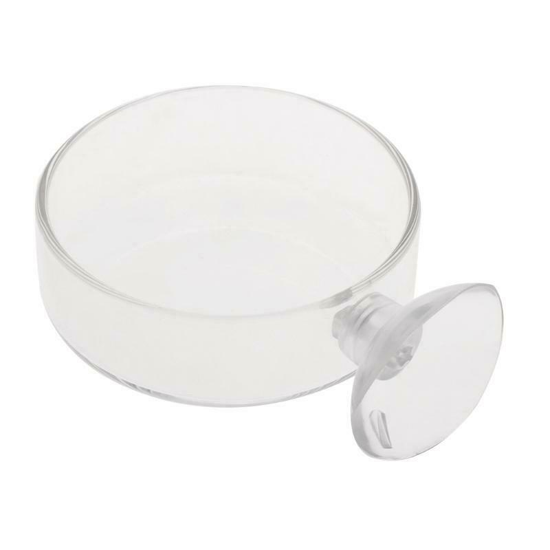 New Arrival Fish Tank Feeder Aquarium Shrimp Glass Feeding Bowl Clear Dish Tray