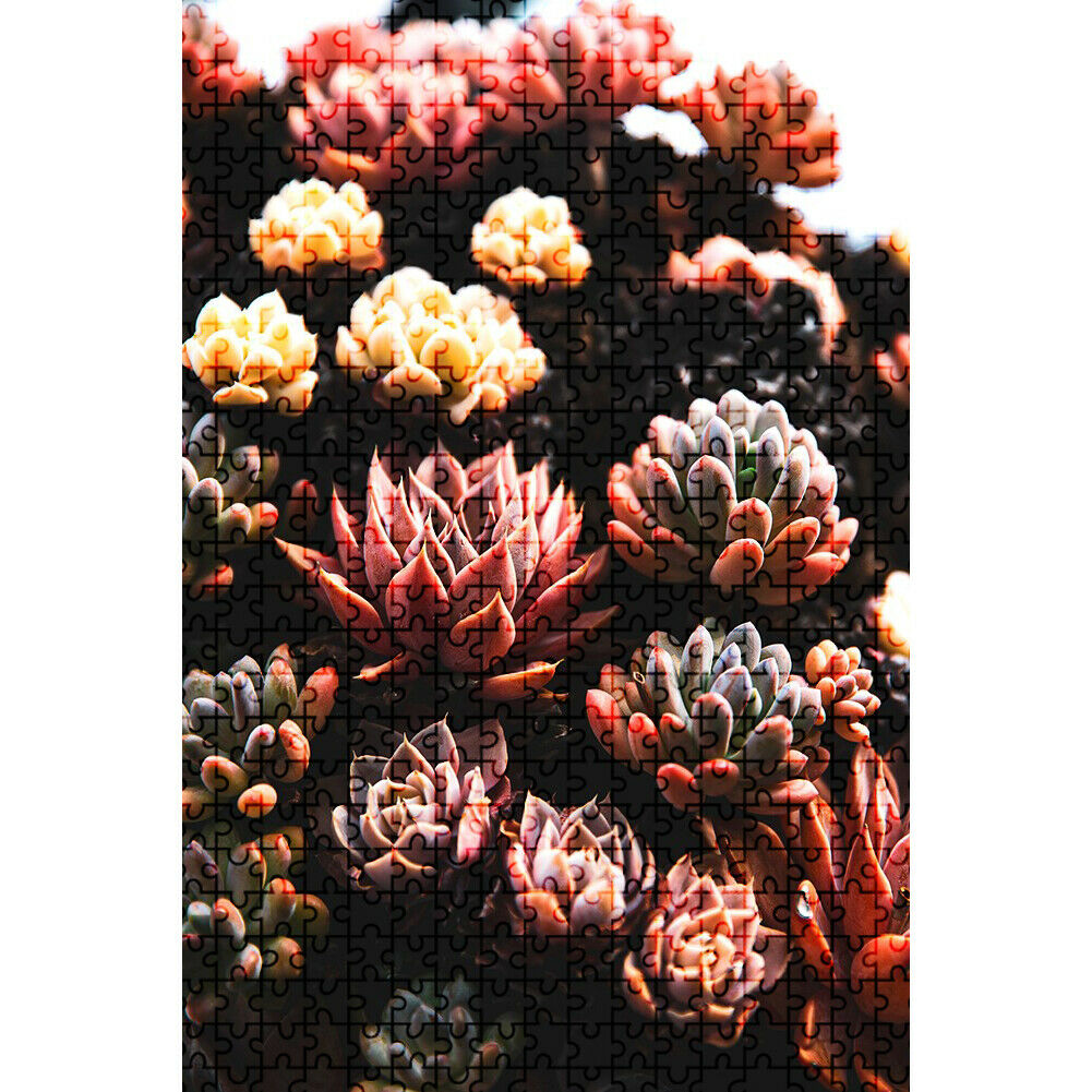 1000 Pieces Adults Kids Paper Jigsaw Puzzles Fleshiness Assembling Picture  @
